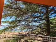 Appartamento - Cittanova (04362)