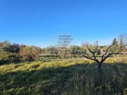 Terreno edificabile - Buie (05633)