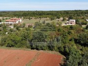 Terreno edificabile - Cittanova (04176)