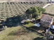 Casa - Cittanova (05749)