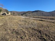Casa istriana - Buie (05416)