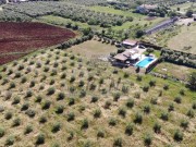 Casa - Cittanova (04964)