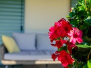 Villa - Buie (03366)