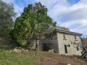 Casa istriana - Grožnjan (05621)