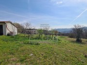 Casa - Buie (04893)