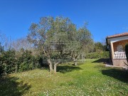 Casa - Umago (05756)