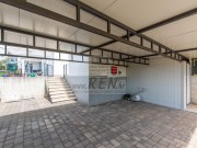 Casa - Cittanova (05569)