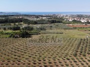Terreno agricolo  - Cittanova (05060)