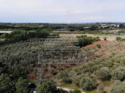 Terreno edificabile - Verteneglio (03948)