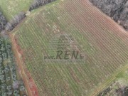Terreno agricolo  - Verteneglio (05682)