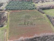 Terreno agricolo - Verteneglio (05682)