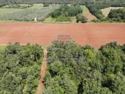 Terreno agricolo - Umago (05022)