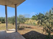 Casa - Cittanova (05737)