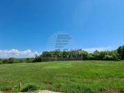 Terreno edificabile  - Cittanova (04283)