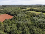 Terreno agricolo - Umago (05022)