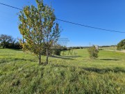 Terreno edificabile - Buie (05064)