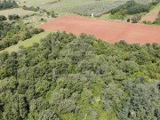 Terreno agricolo - Umago (05022)