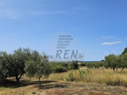 Casa - Cittanova (05737)
