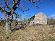 Casa istriana - Buie (05229)