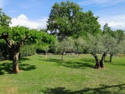 Casa istriana - Cittanova (05613)