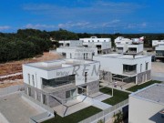 Appartamento - Cittanova (05429)