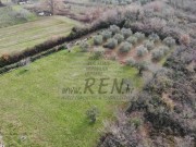 Terreno edificabile - Cittanova (03893)