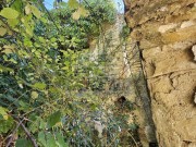 Casa istriana - Portole (05636)