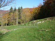 Terreno edificabile - Mrkopalj (00708)