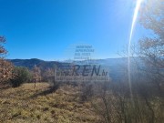 Casa istriana - Buie (04429)