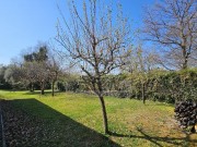 Casa - Umago (05756)