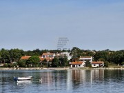 Casa  - Cittanova (05546)