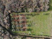 Terreno edificabile - Cittanova (03893)