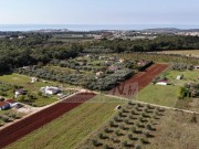 Terreno agricolo  - Cittanova (03804)