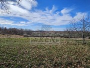 Casa istriana - Buie (05229)