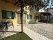 Appartamento - Cittanova (05705)