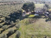 Casa - Cittanova (05749)