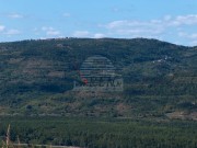 Casa istriana - Montona (00803)