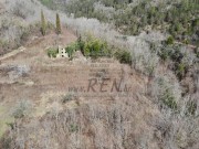 Casa istriana  - Buie (05232)