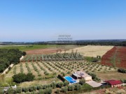 Casa - Cittanova (04964)