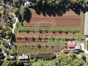 Terreno edificabile - Umago (03837)