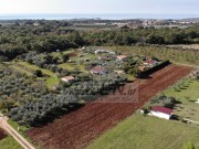 Terreno agricolo - Cittanova (03804)
