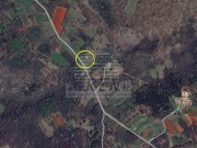 Casa - Portole (05674)