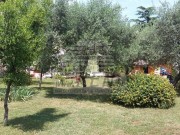 Casa istriana - Cittanova (03406)