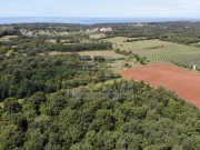 Terreno agricolo  - Umago (05022)