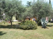 Casa istriana  - Cittanova (03406)