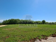 Terreno edificabile - Cittanova (04283)