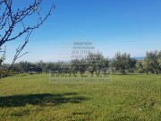 Terreno edificabile - Buie (04638)