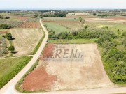Terreno agricolo - Verteneglio (05690)
