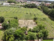 Terreno edificabile - Cittanova (04966)