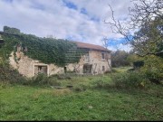 Casa istriana - Buie (05229)